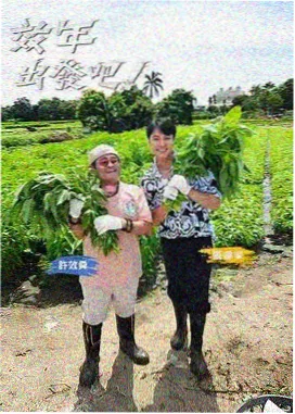 音乐综艺